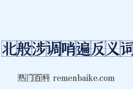 北般涉调哨遍反义词是什么意思的图片
